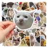 10/30/50pcs Funny MEME Cat Cartoon Graffiti Stickers Cute Animal Decals Kid Toy DIY Suitcase Stationery Phone Waterproof Sticker