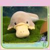Platypus Plush Toy Animal Doll Duck Doll Holiday Gift Ornament Pp Filling Cotton