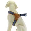 Pet Leash Dog Harness Explosion-proof Breathable Adjustable Small Medium and Large Saddle Dog Walking Rope Chain