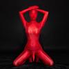 Sexy Women Full Cover Glossiness Bodysuit Sheer See Through Maid Tights Stain Smooth One Piece Suit Bulge Pouch Leotard