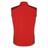 Dare 2B Mens Lattitudinal II Gilet