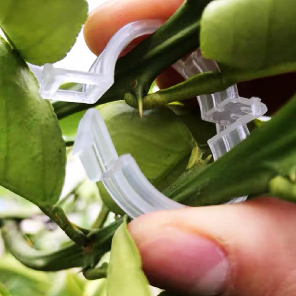 10pcs Plastic Plant Clips for Gardening Tomato Vine Support Clips, Black White Green