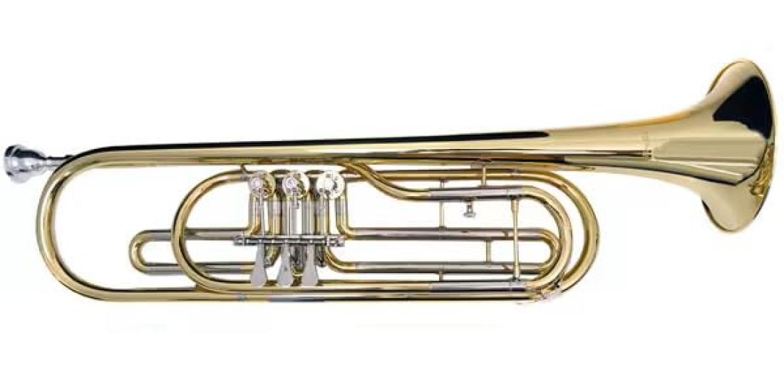 

PLAYTECH Bass Trumpet, 3 Rotary, Lacquer Finish, Semi-Hard Case Included
