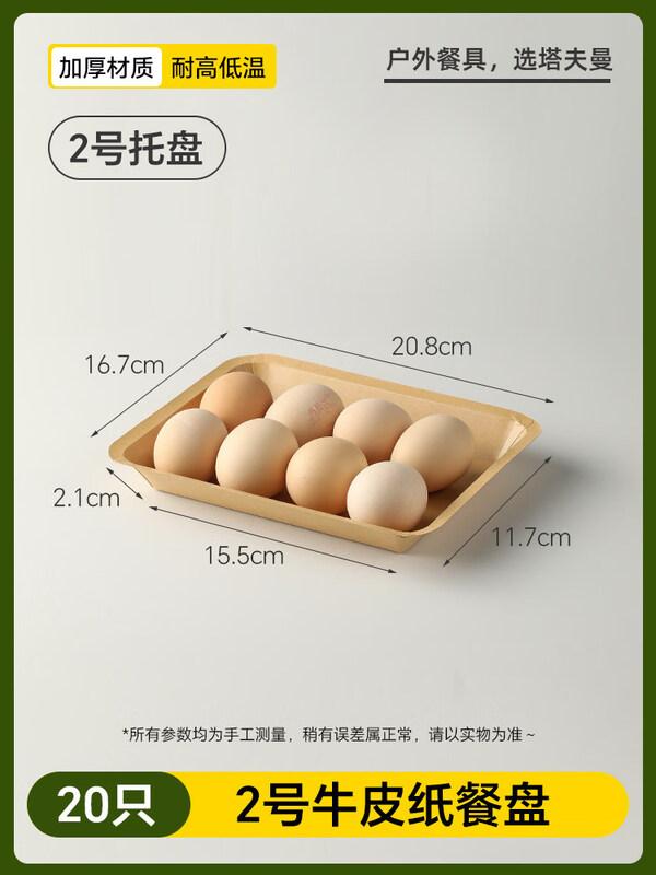 ZISIZ Small Rectangular Disposable Paper Plates