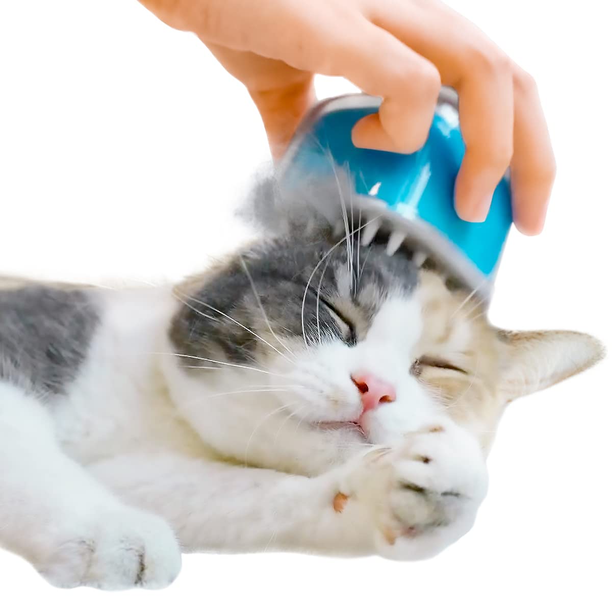 

Cheerble Cat Cat Reward Candy Brush Salt Brush, Beauty, (Sea Blue)
