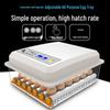 Jiayu Smart 16/36-Egg Automatic Home Chicken Incubator