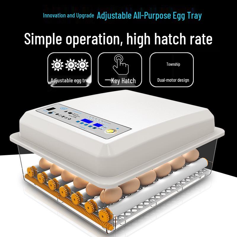 

Fully Automatic Intelligent Incubator for Chicken, Duck, Goose, Pigeon, and Parrot Eggs 6 Eggs Single Power Automatic