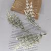 5pcs Mini Branches Stamen DIY Wreath Decorative Accessories Artificial Flower Leaves Grass Christmas Party Decoration Fake Plant