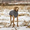 Reflective Strip Dog Winter Coat High-neck Design Warm Dog Vest Jacket Fleece Lining Thickened Dog Turtleneck Cold Weather