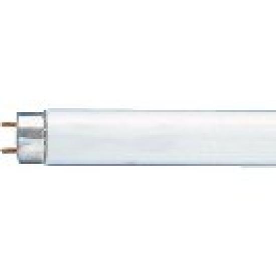 

Panasonic Straight Tube Fluorescent Light HighlightWhite FL10WF
