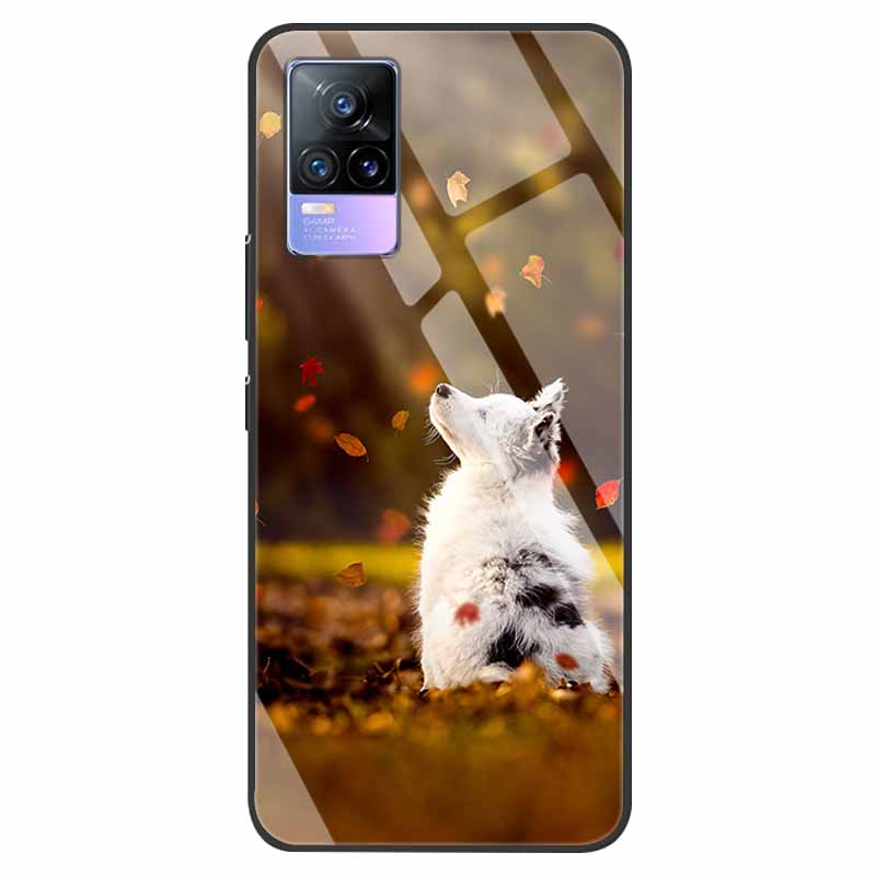 For VivoV21 5G Tempered Glass Case for Vivo V21 5G Soft Bumper Hard Funda For Vivo X60 Pro Global Phone Case X60 5G 2021 Cover