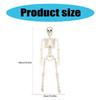 Poseable Full Body Human Skeleton Decors Haunting Halloween Party Skeleton with LED Green Lights for Scary Atmosphere