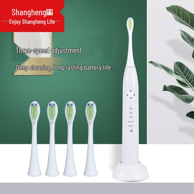 Shangheng SHZH-039 Sonic Electric Toothbrush CN plug (adapter included)