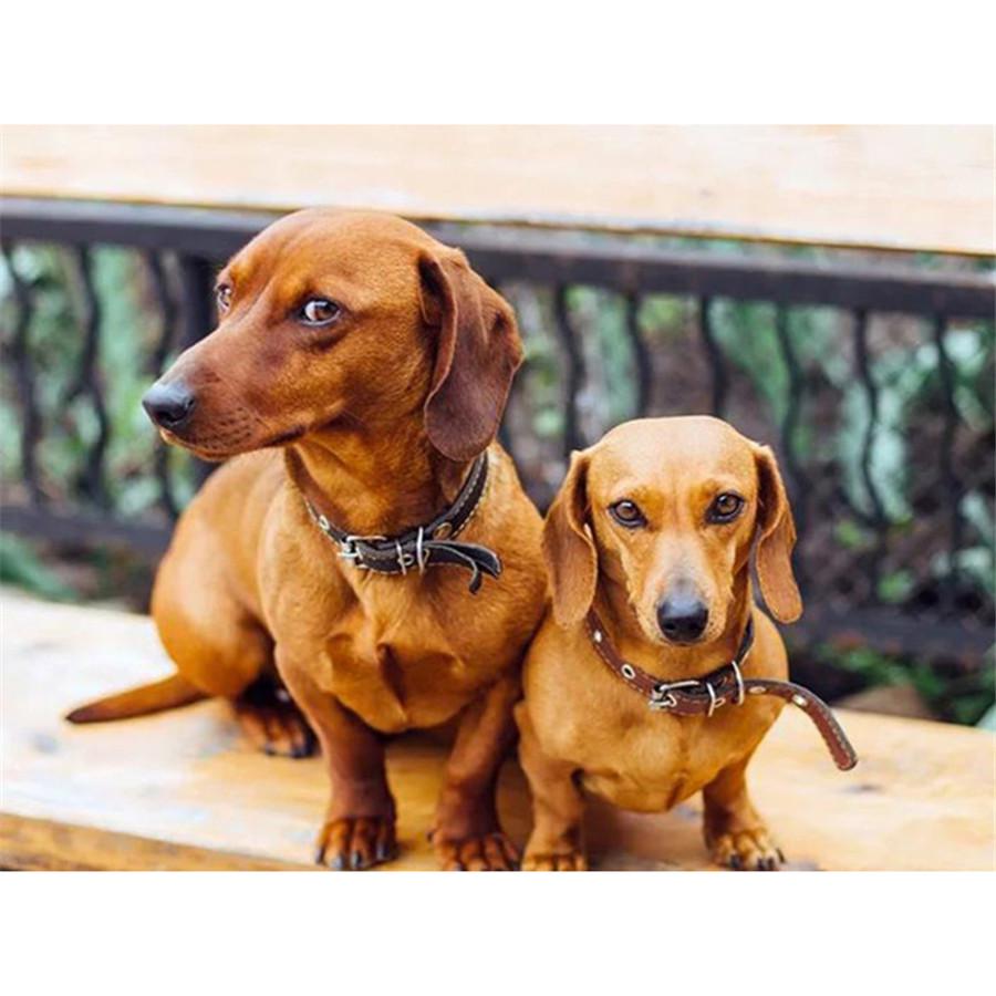 Kompletní 5D kutilské diamantové malování Všechny druhy psů Diamantové vyšívání Sady křížkového stehu Domácí dekorace Ručně vyrobený dárek