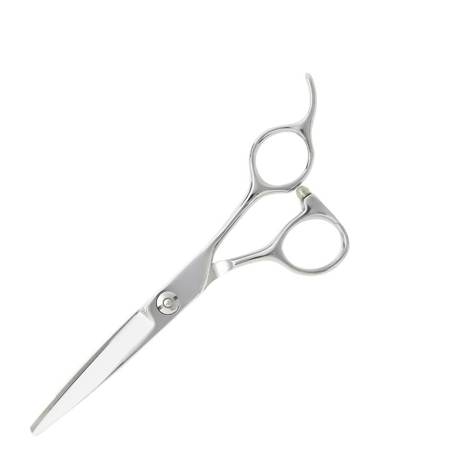 

DEEDS Японский производитель ножниц GSZ Ножницы для профессионалов с чехлом [PF] (5,5 дюймов) парикмахеры, стрижки, использование,