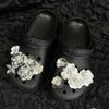 Cave Shoes, DIY Accessories, Light Gauze Petals, Flowers, Acrylic, Butterflies, Detachable Shoe Buckles, Shoe Flowers, Shoe Accessories