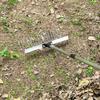 Detachable Grass Rake Agricultural 21 Tooth Cleaning Tools Multi-functional Landscaping Yard Leaf Rake Lawn Weeding Tool