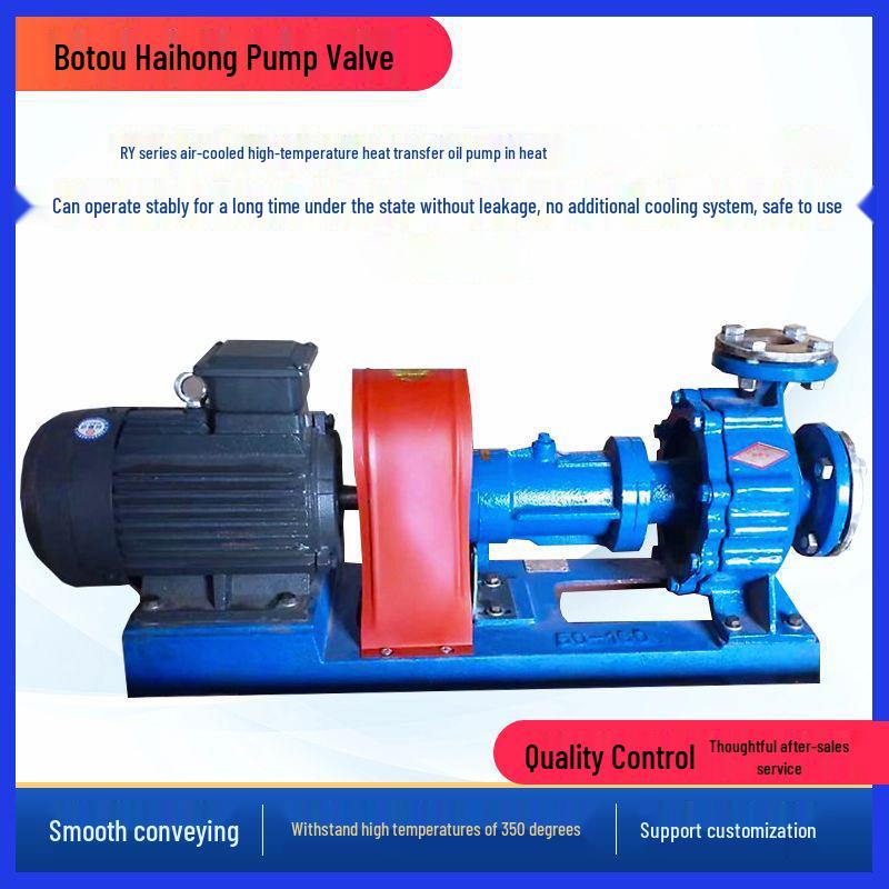 RY High-Temperature Heat Transfer Oil Circulation Pump: Small Power, Hot Oil Centrifugal Pump for Heat Transfer Applications.
