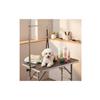 Grooming Table Restraint Anti-Flee Design Pet Grooming Loop No-Sit Haunch Holder Adjustable Rust-Resistant Alloy Buckle