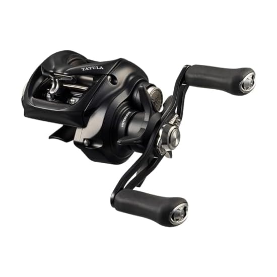 DAIWA Baitcasting-Rolle 24 TATULA TW 100XHL