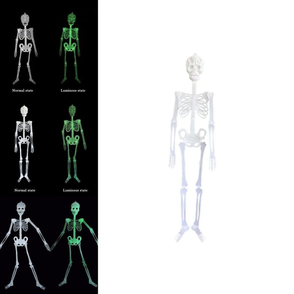 Gruseliges leuchtendes Skelett für Halloween-Dekoration