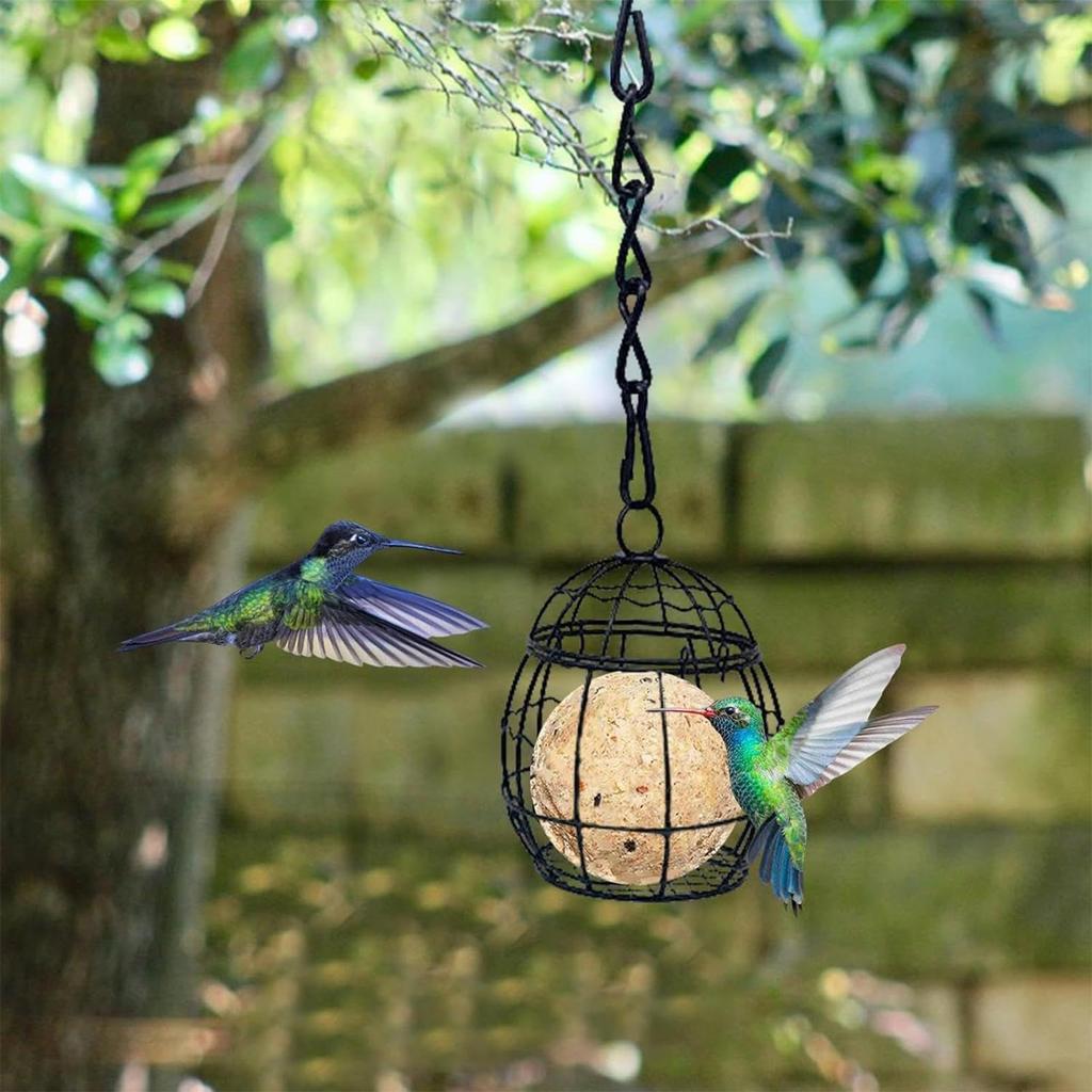 Suet Feeder Metal Squirrel Proof Wildlife Food Station With Hook Bird Suet Feeder For Outside Garden Yard Patio Backyard