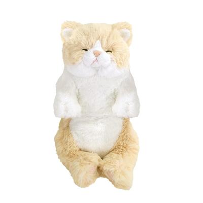 SunLemon Sleeping Lap S 15 X 18 X Plush Cute Cat, CR, 34cm, Animal, Cat, Cream, P-1383