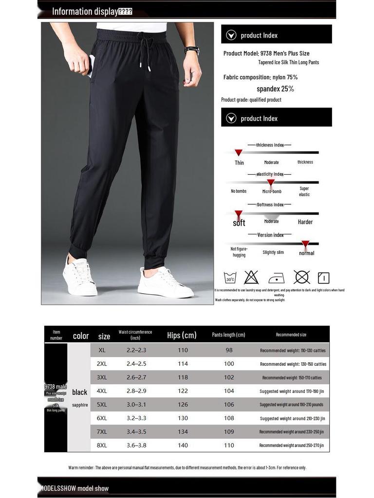 Men's Plus Size Ice Silk Jogger Pants