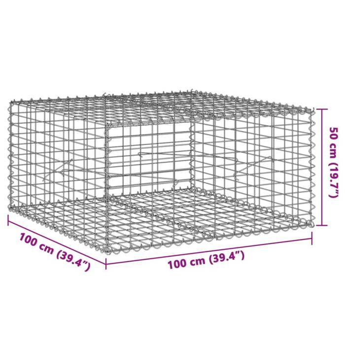 VidaXL Gabion Basket with Lid 100x100x50 Cm Galvanized Iron, Gabion Wall, Gabion Retaining Wall, Fence In 3295178