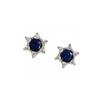S925 Sterling Silver Plated Blue Pointed Crystal Inlaid Zirconium Stud Earrings for Women Simple and Stylish Personality Graceful Earrings
