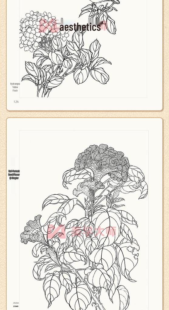 Baimiao Gongbi Flower Painting: Beginner's Guide & Tutorial for Self-Learners