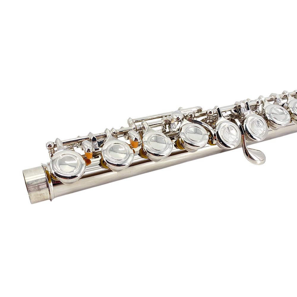WUQIMUSC C Flute Instrument Durable Easy to Includes Carrying Cleaning and Ideal for Learning 16-Key Closed-Hole - Beginner/Student Flute, Design,