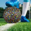 Cute Paws Indoor Soccer Ball Size 5 Colorful All Ages Machine Stitched PVC Competition Ready Durable High-Bounce