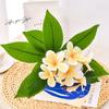 XIYUAN 35.5 Inch Artificial Flowers Artificial Frangipani Flower 2 Stems Lifelike Real Touch Artificial Plumeria Flowers for Home Party Wedding