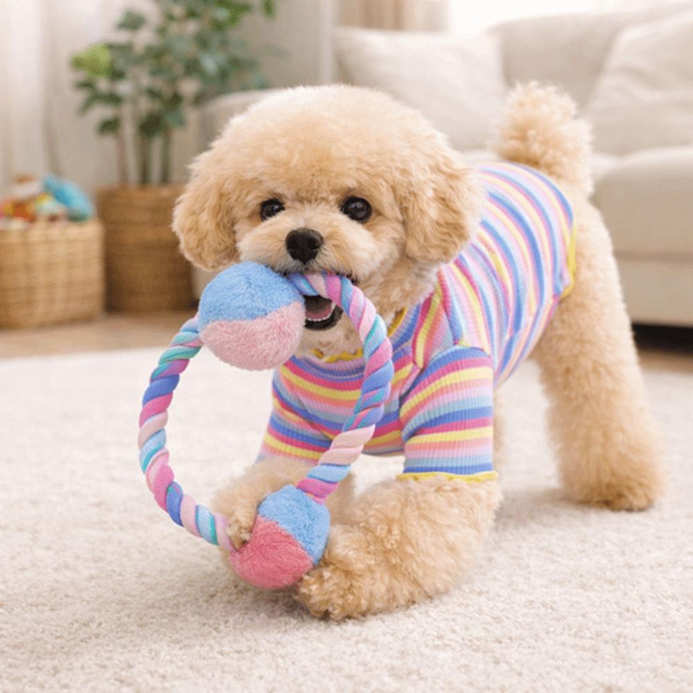 Striped Design Pet Long Sleeve Shirt Rainbow Two Legged Puppy Vest Autumn Winter Season