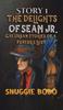 Story 1 The Delights of Sean Jr. by Snuggie Bobo Hardback Book 9798889102298