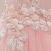 Girls' Embroidered Lace Flower Princess Dress