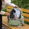Portable Clear Pet Backpack Kennel For Cats & Small Pets Outdoor Breathable Backpack Adequate Ventilation Design Travel Kennel
