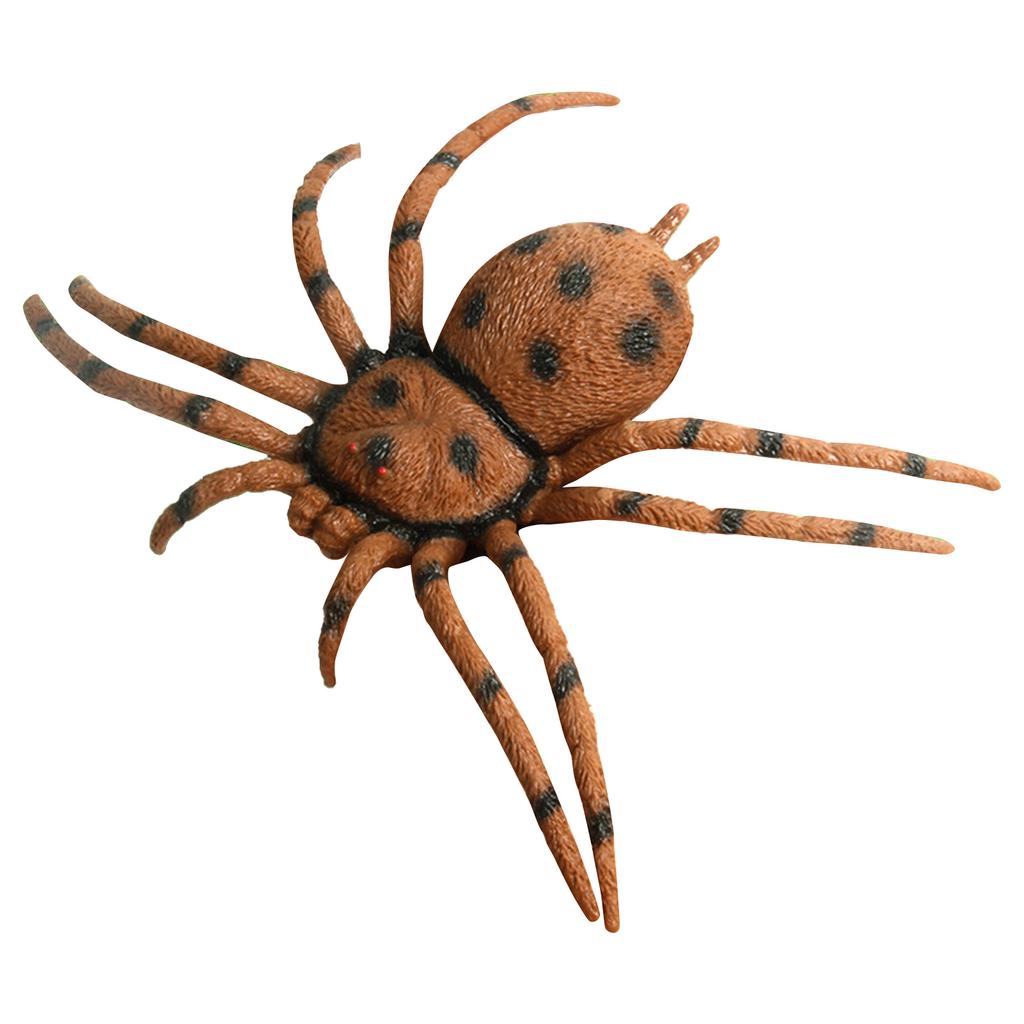 Spider Model Lifelike Exquisite Simulated Large Spider Toy for Teaching Entertainment Brown