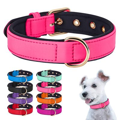 Köpek – Köpek Tasmaları ve Tasma Kayışları