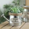 Creative Retro Small Iron Watering Can Garden Ornaments Flowerpots Home Decoration Bucket Pots for Flowers Plant Accessories