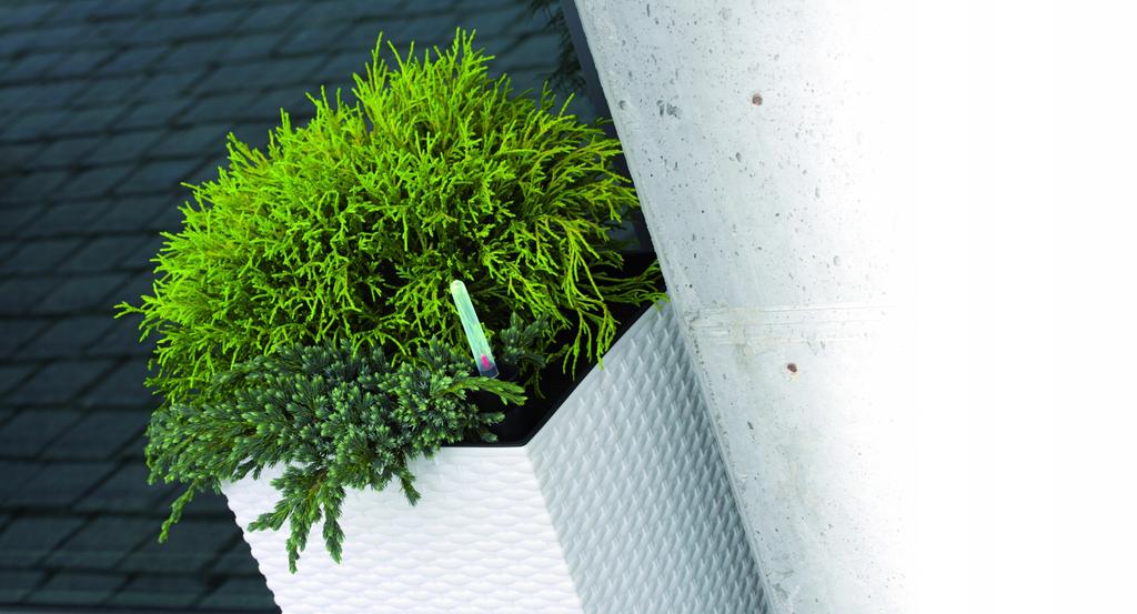 RATO DRTS170 Tall Flowerpot with Insert | White