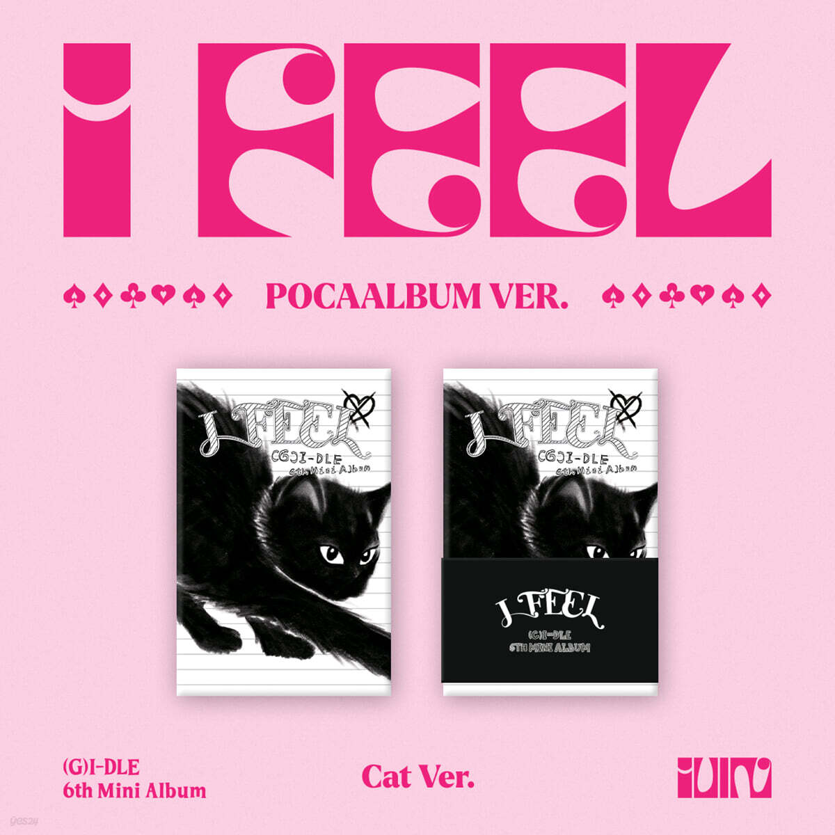 

(G)I-DLE - 6th Mini Album : I feel [PocaAlbum Ver.][Cat Ver.]