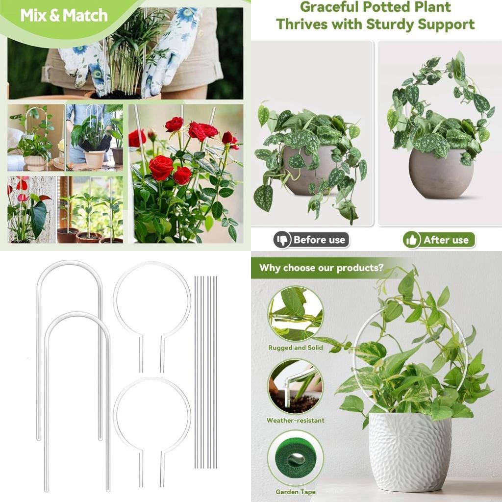 Набор из 8 акриловых стоек-подставок для садовых растений с вертикальными круглыми рамами Декоративное решение для демонстрации комнатных растений X3UC China Mainland