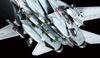 Tamiya 1/48 Masterpiece Aircraft Series No. 118 U.S. Navy Grumman F-14D Tomcat Plastic Model Kit 61118