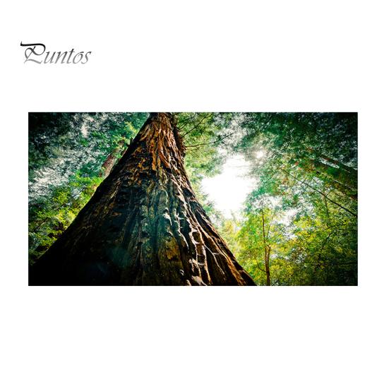 

Кришка для люмінесцентного світла з 10 магнітами. Вишуканий візерунок. Легке встановлення. Фільтр для люмінесцентного світла. Магнітна кришка для стельового світильника. G