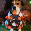 Dog Soccer Ball With Straps Halloween Pet Soccer Ball Interactive Training Bell Toy For Chasing Stimulation Hunting Boredom