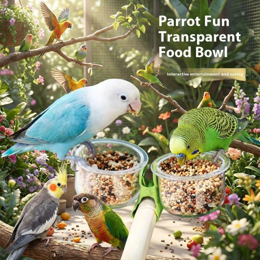 Bird Perch Stand Transparent Bird Cage Feeder With Clip Non-slip Parrot Food Bowl Plastic Wear-resistant Feeder Cup Parrot