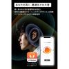 JVC Kenwood Victor WOOD master Wireless Earphones, Bluetooth Ver. 6.0, Noise Cancelling, High-Resolution Audio, Multipoint, Microphone, Waterproof, Lo
