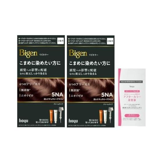 (Gray hair dye) Bigen Lipicolor 5NA Deep Naturally Brown (2 pieces + bonus) Hoyu Women's Self Color Whole Part bigen hoyu (Quasi-drug)